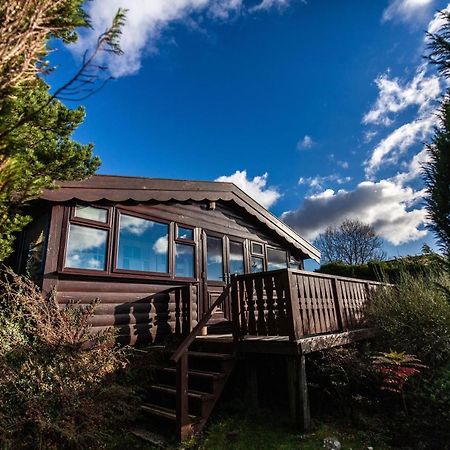 Log Cabin Nr Coed Y Brenin By Seren Short Stays Trawsfynydd エクステリア 写真